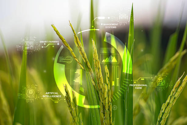 Panduan Memilih Kampus Agribisnis Berkualitas untuk Masa Depan Cerah